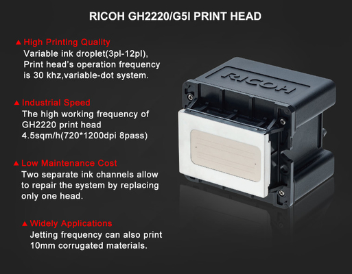 G5I Ricoh double printhead control system for high drop printing,Suitcase Ball Toy High Drop UV Printing